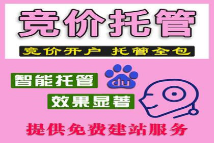 电子商务平台SEM托管的优化技巧